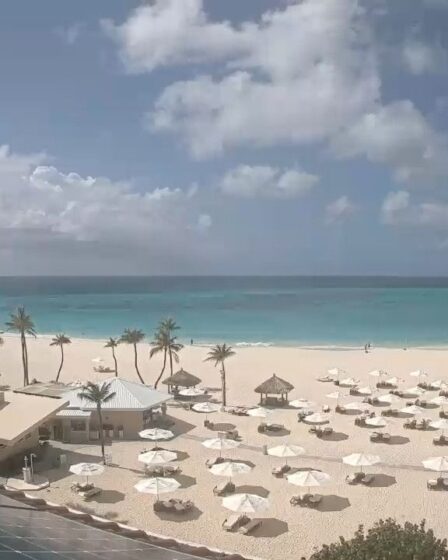 earth cam aruba